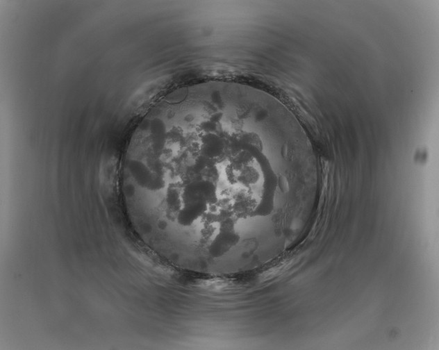 X0000090770511200707201441
