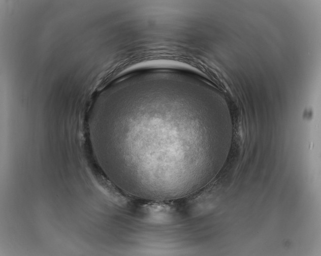 X0000090770512200707201441