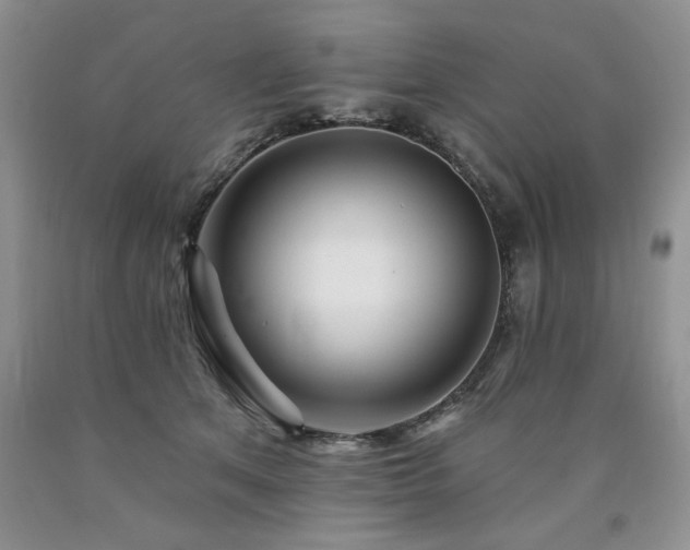 X0000090770513200707201441