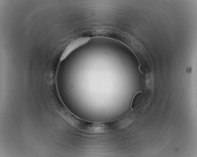 X0000090770514200707201441