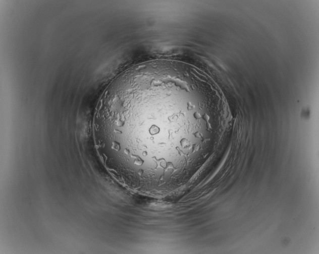 X0000090770515200707201441