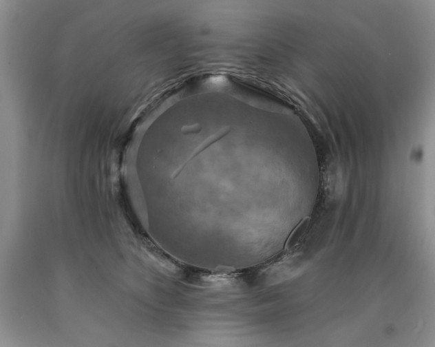X0000090770516200707201441