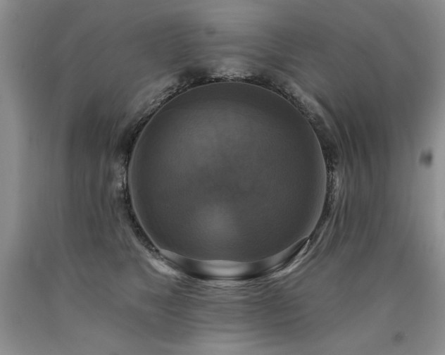 X0000090770517200707201441