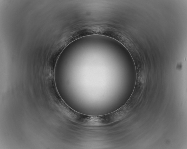 X0000090770518200707201441