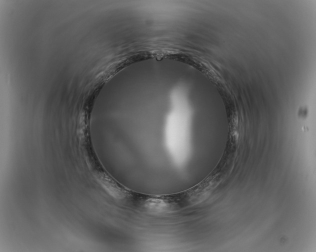X0000090770519200707201441