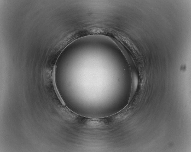 X0000090770521200707201441