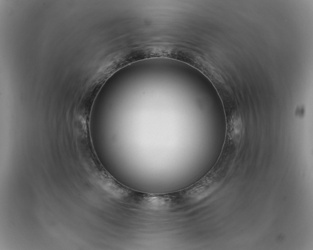 X0000090770522200707201441