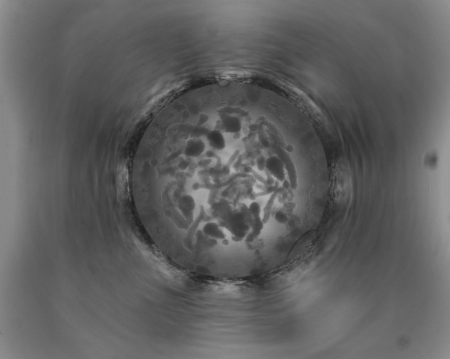 X0000090770523200707201441