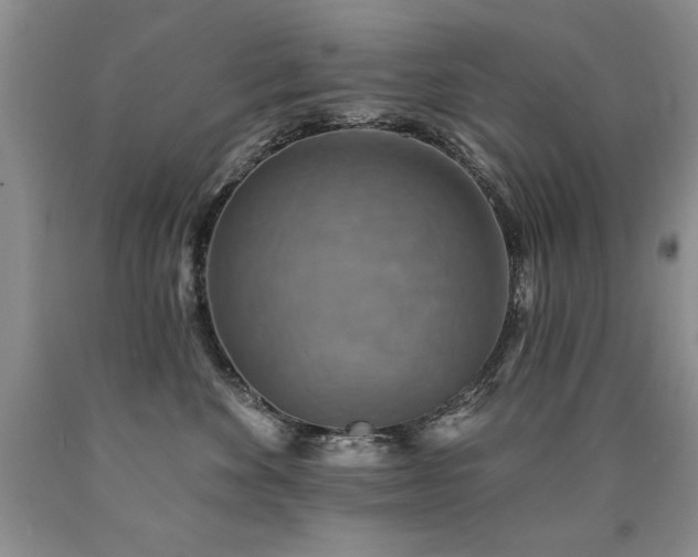 X0000090770524200707201441