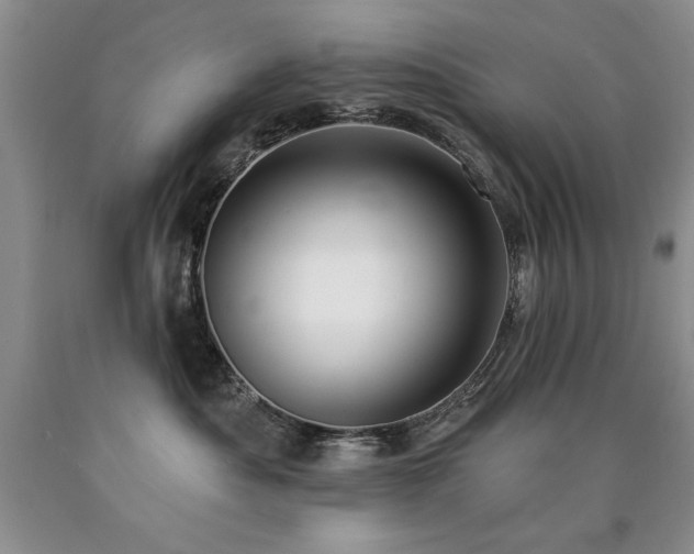 X0000090770525200707201441