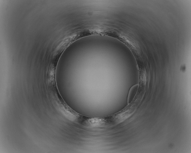 X0000090770526200707201441