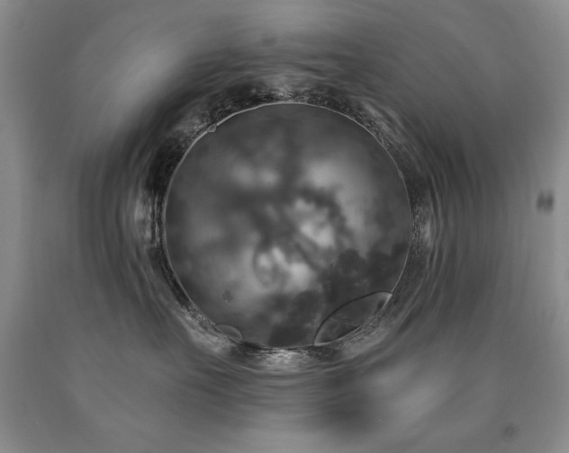 X0000090770527200707201441