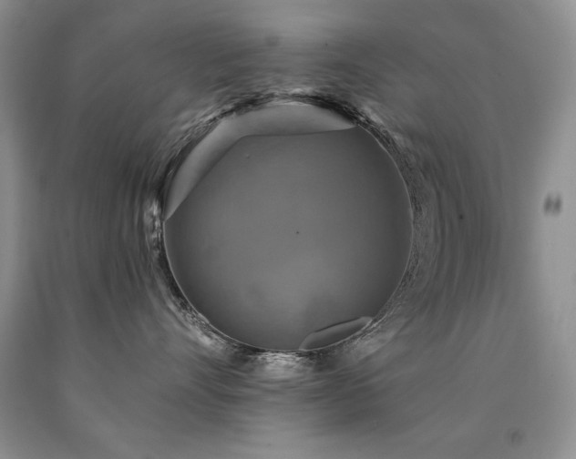 X0000090770528200707201441
