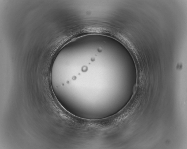 X0000090770529200707201440
