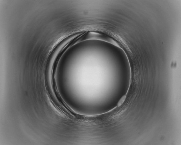 X0000090770530200707201440