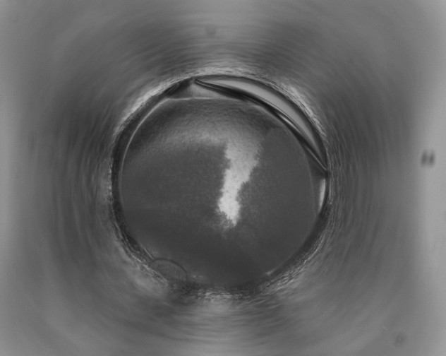 X0000090770531200707201440