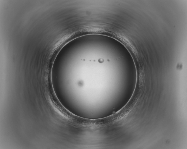 X0000090770533200707201440