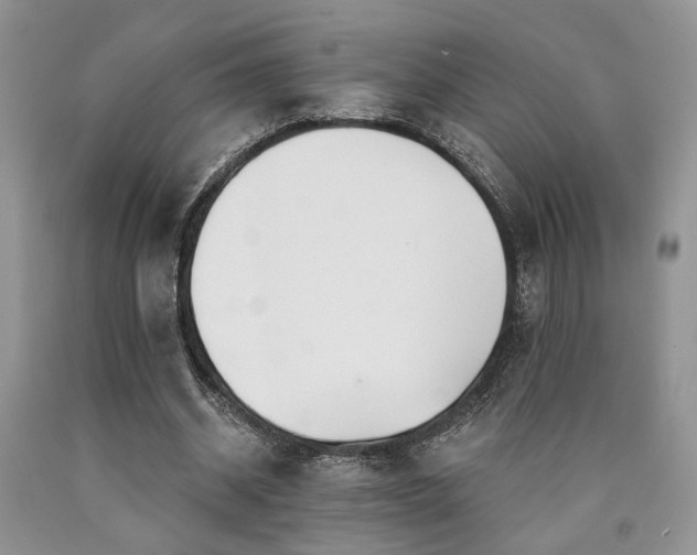 X0000090770534200707201440