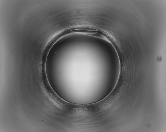 X0000090770535200707201440