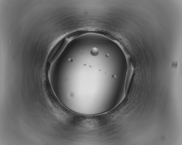 X0000090770536200707201440