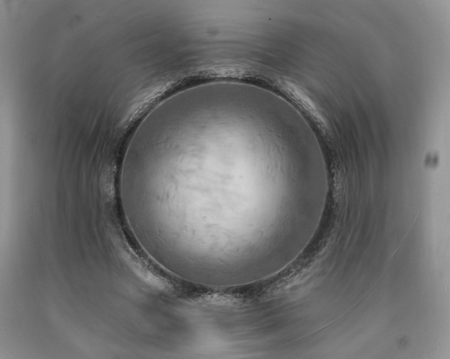 X0000090770537200707201440