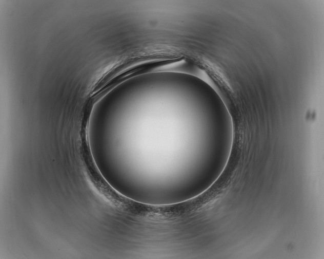 X0000090770538200707201440