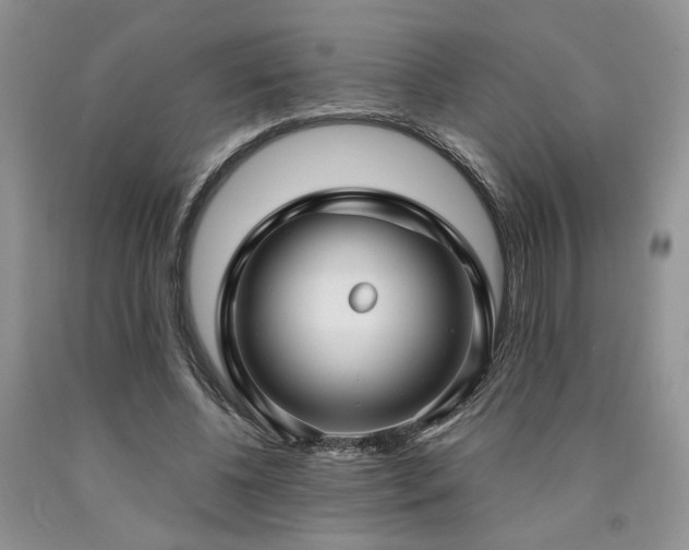 X0000090770540200707201440