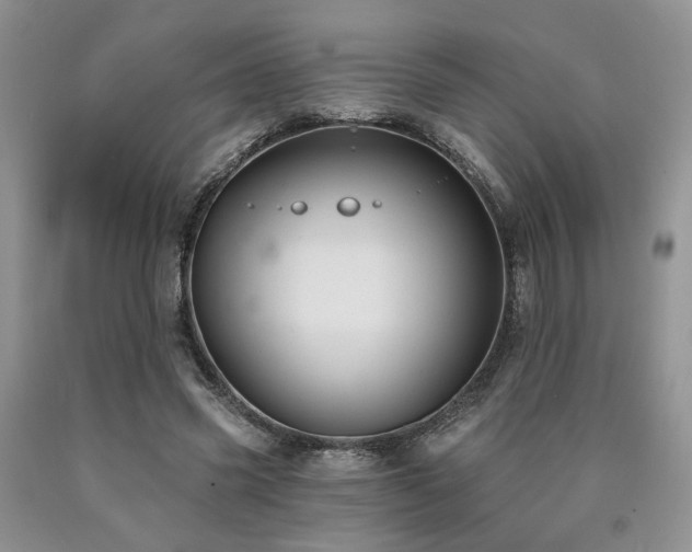 X0000090770541200707201440
