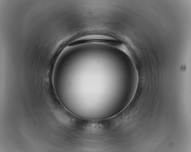 X0000090770543200707201440