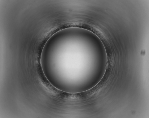 X0000090770546200707201440