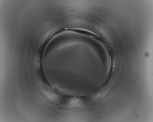 X0000090770547200707201441