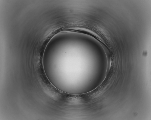 X0000090770548200707201441