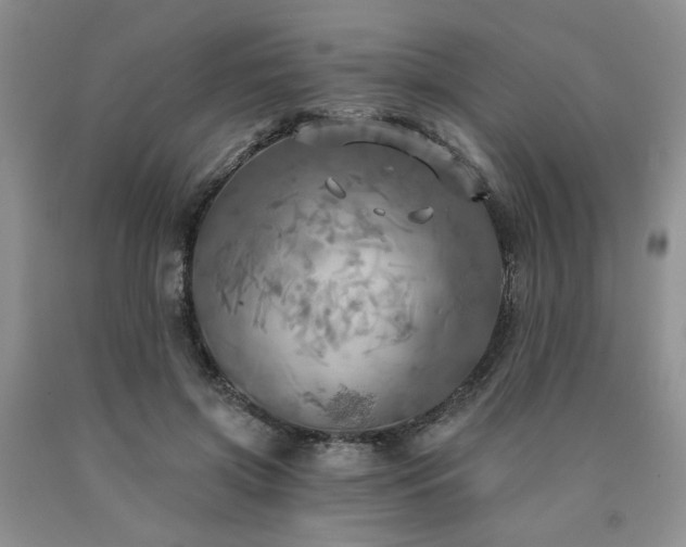 X0000090770549200707201441