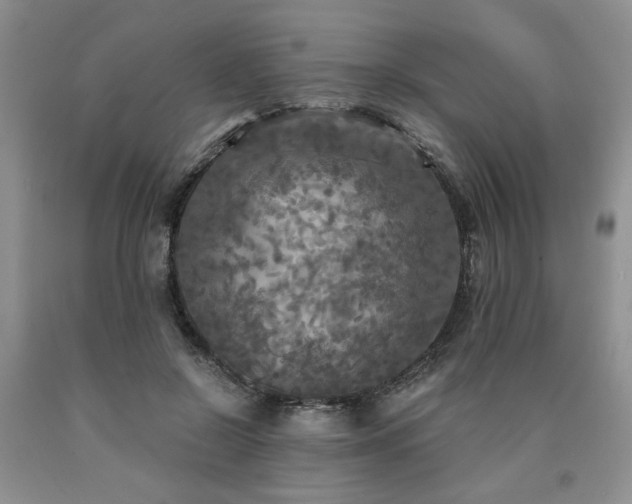 X0000090770550200707201441