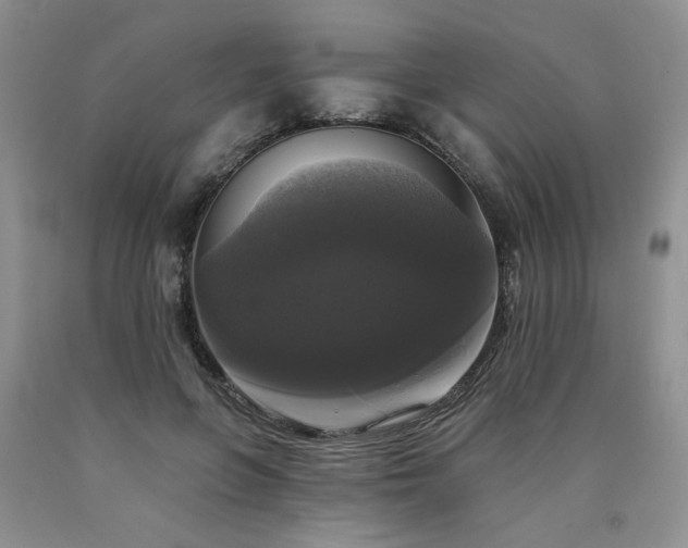 X0000090770551200707201441