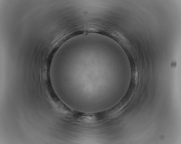 X0000090770552200707201441