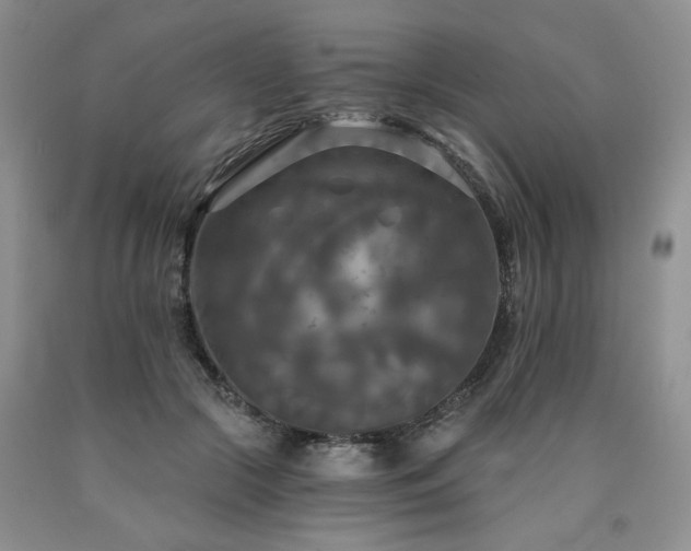 X0000090770553200707201441