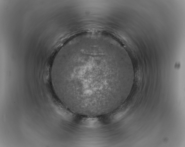 X0000090770554200707201441