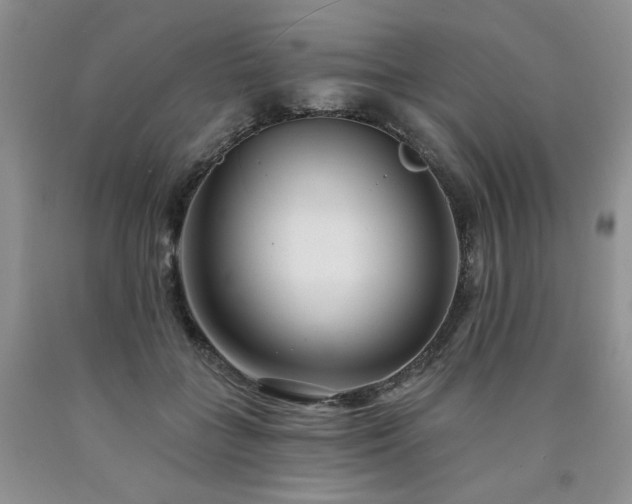 X0000090770555200707201441