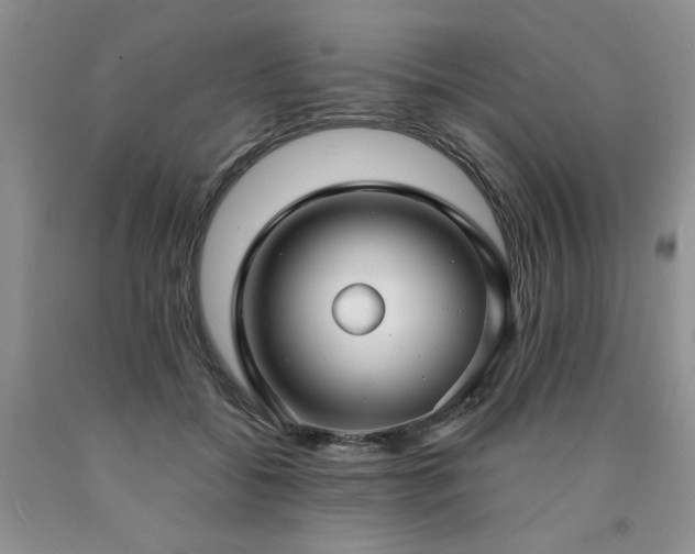 X0000090770556200707201441