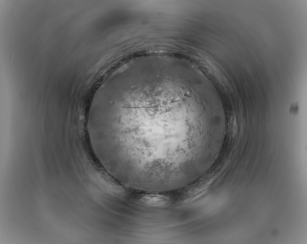 X0000090770557200707201441
