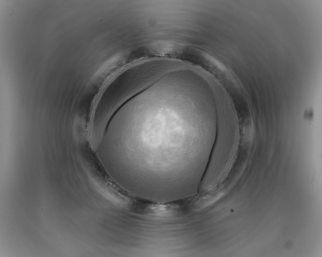 X0000090770558200707201441