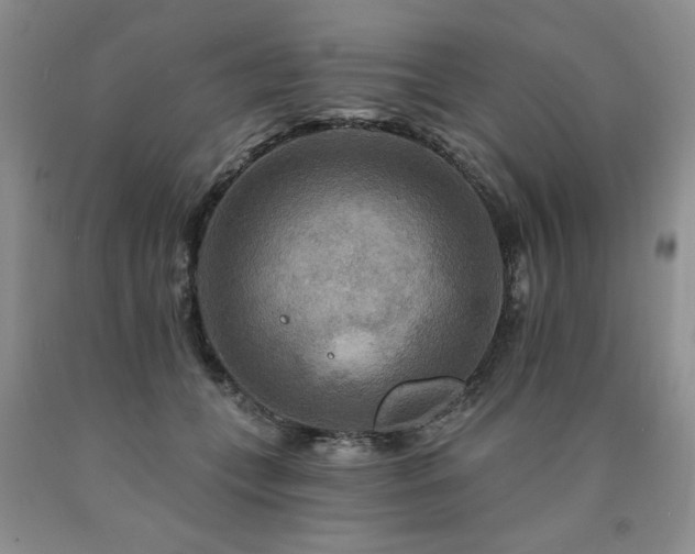 X0000090770559200707201441
