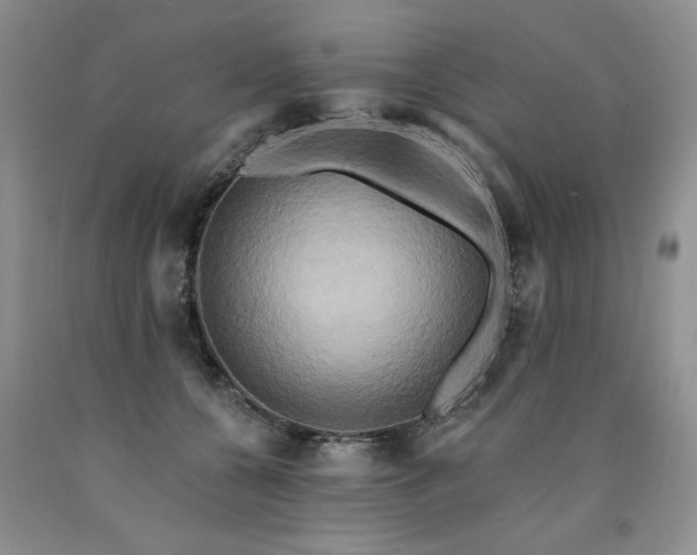 X0000090770560200707201441