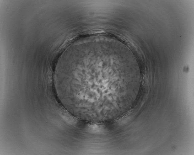 X0000090770561200707201441