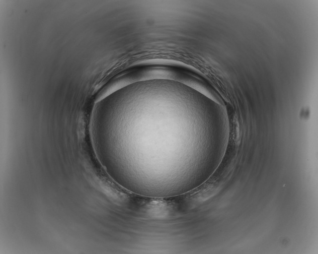 X0000090770562200707201441