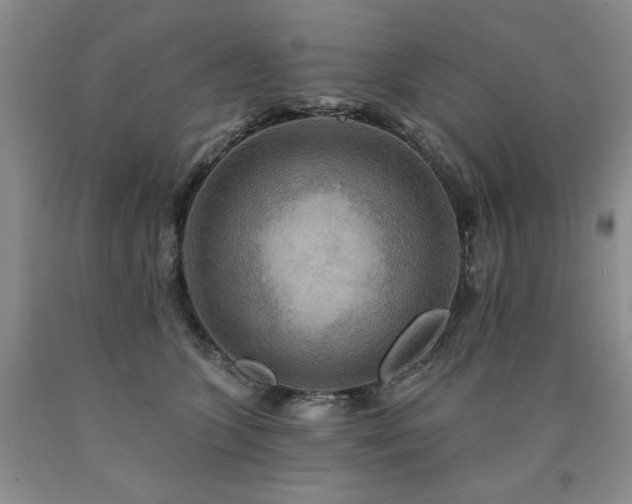 X0000090770563200707201441