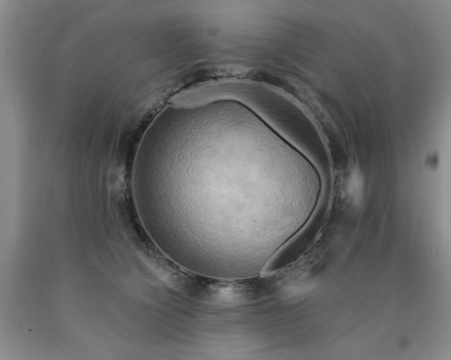 X0000090770564200707201441
