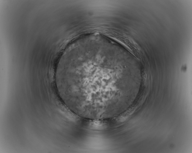 X0000090770565200707201441