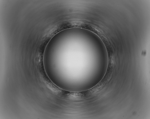 X0000090770567200707201441
